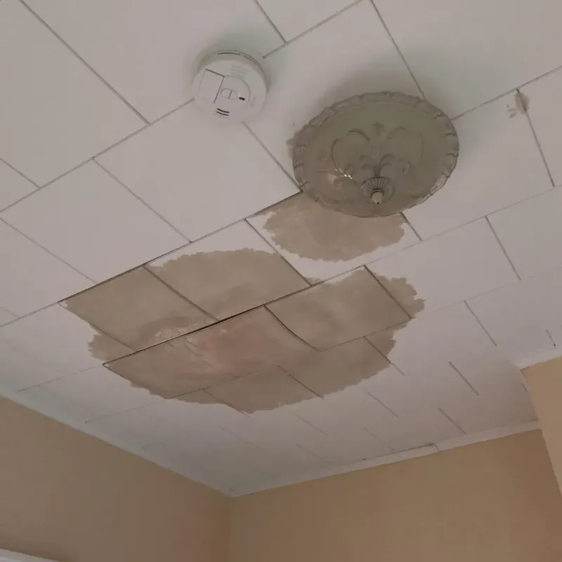Ceiling Water Damage Repair in North Hero, VT