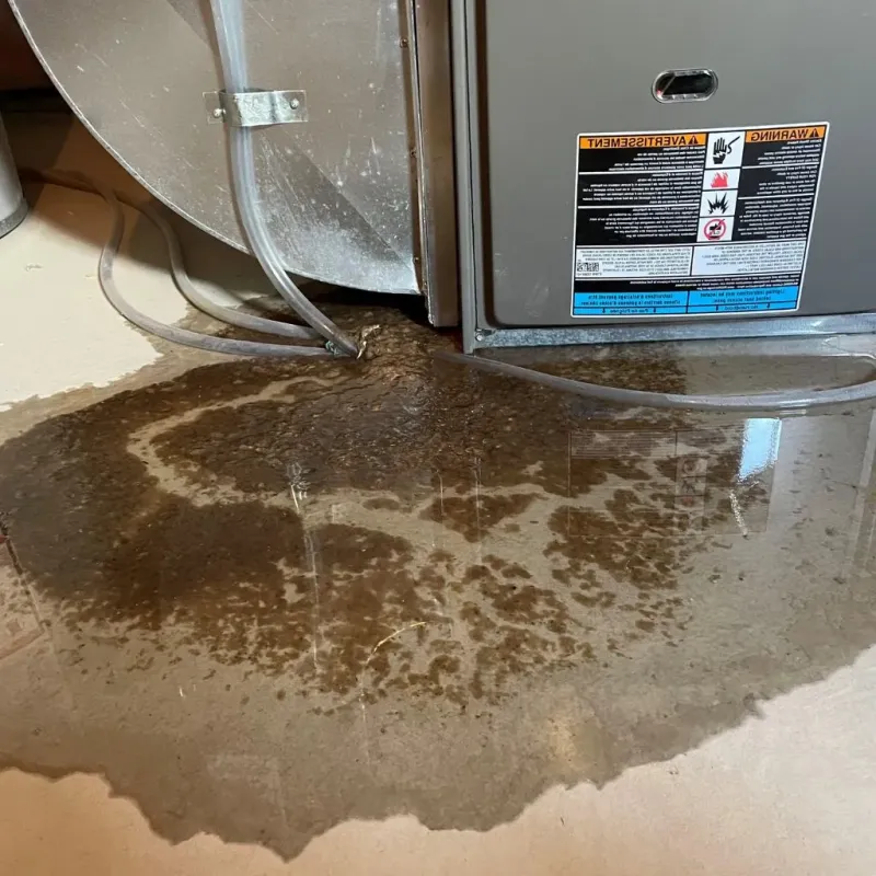Pipe Burst and Leak Restoration in North Hero, VT